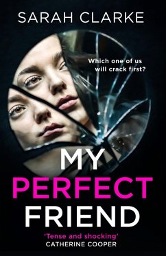 Cover My Perfect Friend (eBook, ePUB)