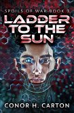 Ladder To The Sun (eBook, ePUB)