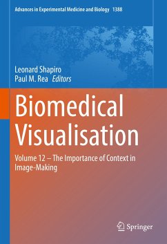 Biomedical Visualisation (eBook, PDF)