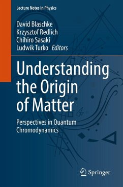 Cover Understanding the Origin of Matter (eBook, PDF)