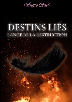 Destins Liés (eBook, ePUB)