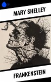 Frankenstein (eBook, ePUB)