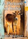 A Picture Of India A Picture Of India