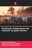 Avaliação endoscópica do retículo no gado bovino