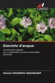 Giacinto d'acqua: