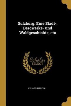 Sulzburg. Eine Stadt-, Bergwerks- Und Waldgeschichte, Etc