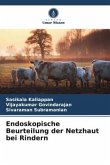 Endoskopische Beurteilung der Netzhaut bei Rindern