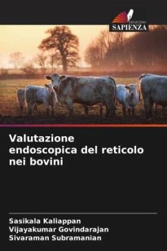 Cover Valutazione endoscopica del reticolo nei bovini