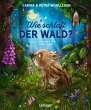 Wie schläft der Wald? - Bild 1