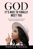 God It's Nice to Finally Meet You (eBook, ePUB)