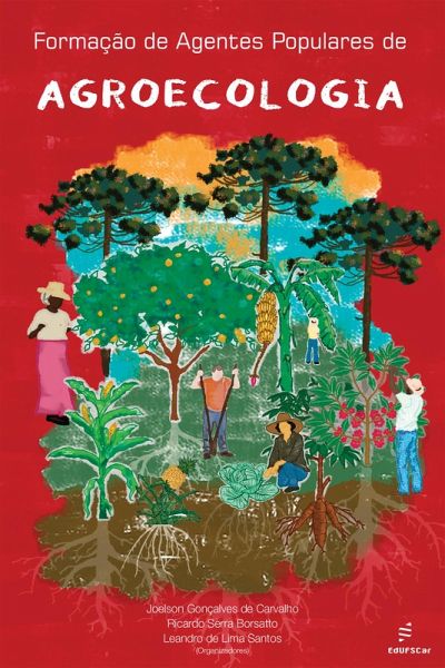 Formação de agentes populares de agroecologia (eBook, ePUB)