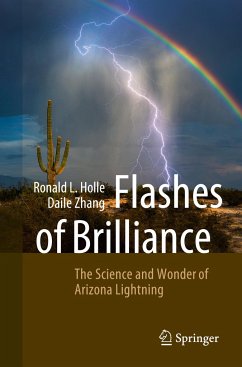 Flashes of Brilliance - Holle, Ronald L.;Zhang, Daile