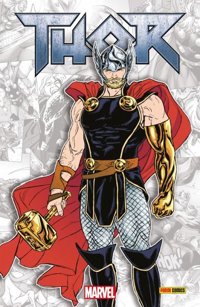 THOR (eBook, PDF)