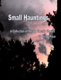 Small Hauntings: (eBook, ePUB)