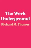 The Work Underground (eBook, ePUB)