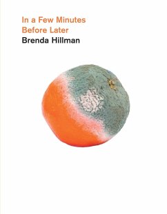 In a Few Minutes Before Later (eBook, ePUB) - Hillman, Brenda