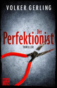 Der Perfektionist (eBook, ePUB) - Gerling, Volker