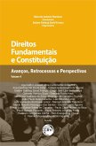 Direitos fundamentais e constituição (eBook, ePUB)