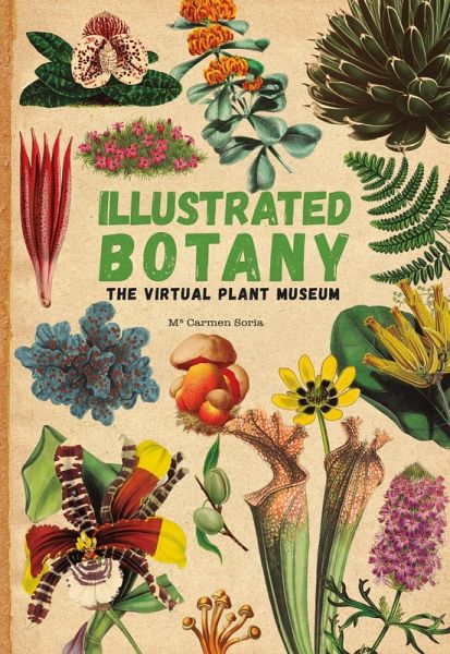 Illustrated Botany (eBook, ePUB) Illustrated Botany (eBook, ePUB)