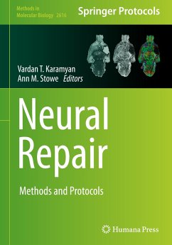 Neural Repair