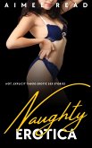 Naughty Erotica (eBook, ePUB)