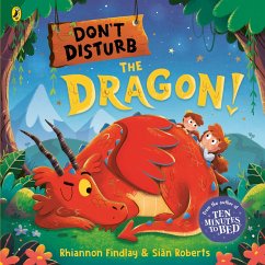 Don't Disturb the Dragon - Findlay, Rhiannon