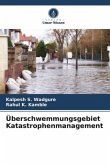 Überschwemmungsgebiet Katastrophenmanagement