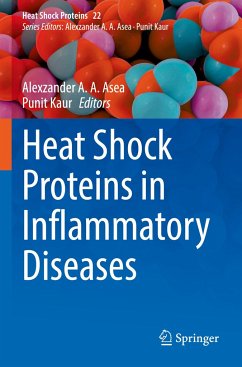 Heat Shock Proteins in Inflammatory Diseases