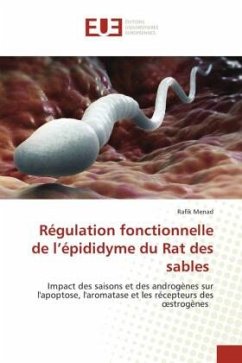 Régulation fonctionnelle de l¿épididyme du Rat des sables - Menad, Rafik
