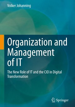 Organization and Management of IT - Johanning, Volker