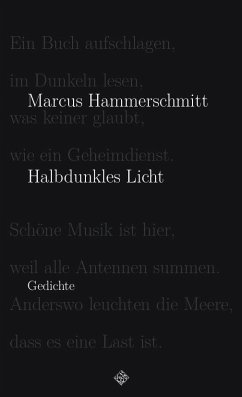 Halbdunkles Licht - Hammerschmitt, Marcus
