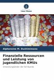 Finanzielle Ressourcen und Leistung von jugendlichen KMUs