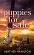 Puppies For Sale - Bild 1