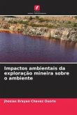 Impactos ambientais da exploração mineira sobre o ambiente