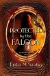 Protected By The Falcon - Bild 1
