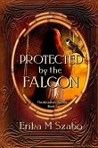 Protected By The Falcon