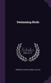 Swimming Birds