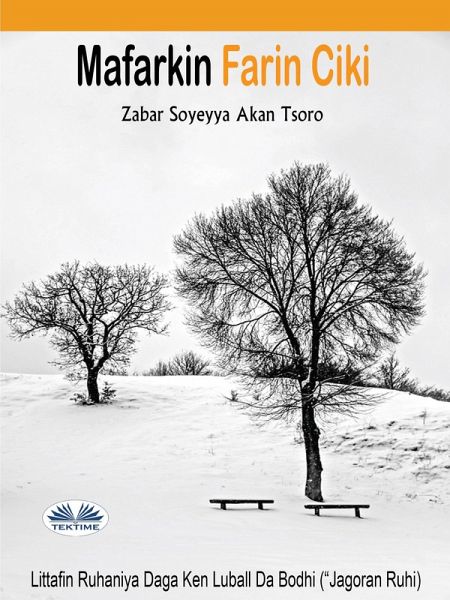 Mafarkin Farin ciki (eBook, ePUB)
