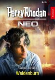 Weidenburn / Perry Rhodan - Neo Bd.294 (eBook, ePUB)