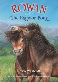 Rowan The Exmoor Pony - Westcott, Dawn