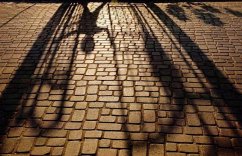 Cover Shackles of Memory (eBook, ePUB)