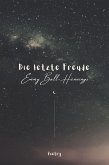 Die letzte Freude - Poetry (eBook, ePUB)