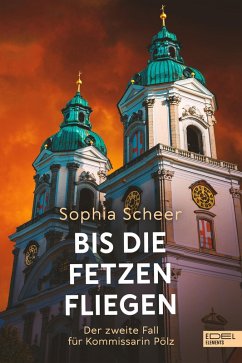 Bis die Fetzen fliegen (eBook, ePUB) - Scheer, Sophia