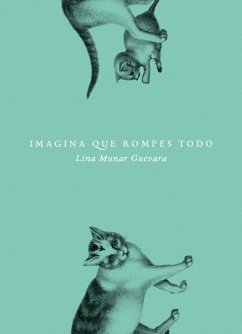 Cover Imagina que rompes todo (eBook, ePUB)