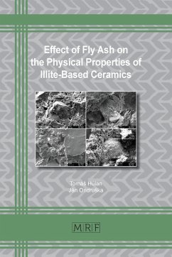 Effect of Fly Ash on the Physical Properties of Illite-Based Ceramics - Húlan, Tomá¿; Ondru¿ka, Ján