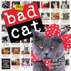 Bad Cat Wall Calendar 2023: Hilarious Photos Celebrating the Misfits of the Feline World - Workman Calendars