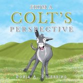 From a Colt's Perspective From a Colt's Perspective