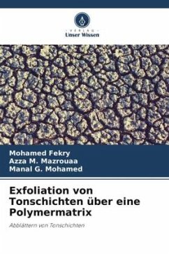 Exfoliation von Tonschichten über eine Polymermatrix - Fekry, Mohamed;Mazrouaa, Azza M.;Mohamed, Manal G.