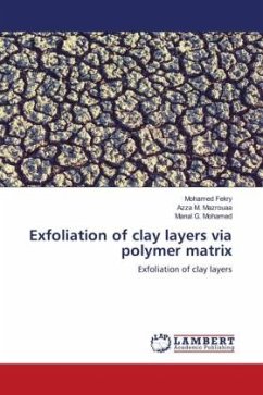Exfoliation of clay layers via polymer matrix