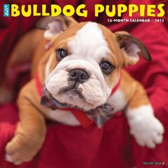 Just Bulldog Puppies 2023 Wall Calendar - Willow Creek Press